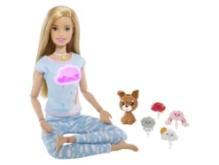 Barbie Wellness ja Meditaatiosetti