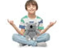 Meditaatio Koala