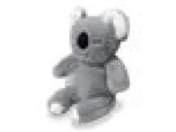 Meditaatio Koala