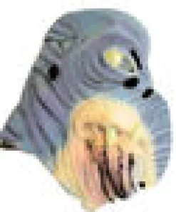 Star Wars Watto naamari