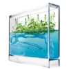 Super Antquarium